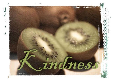 kiwi-kindness