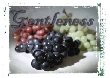grapes-gentleness