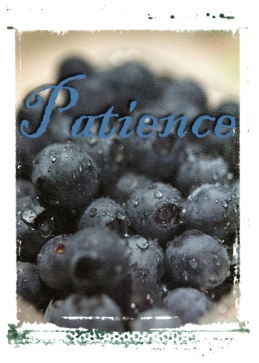 blueberries-patience